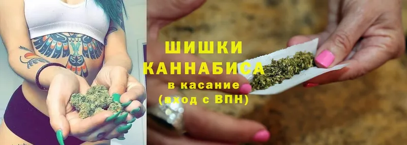 Каннабис OG Kush  Астрахань 